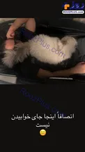 جای خواب عجیب گربه مهراب قاسم‌خانی + عکس