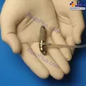 عکس/ کوچیک‌ترین قلب مصنوعی جهان