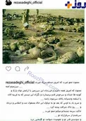 پست رضا صادقی درباره ی سربازان وطن و اختلاس گران+عکس