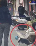 عکس/ اقدام یک گربه برای پیشگیری از کرونا!