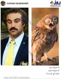 عکس معنادار محسن تنابنده در اینستاگرام