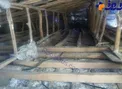 هجوم سوسک ها به 2 روستای خلخال
