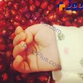 عکس جدید دختر مجری جنجالی