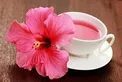فواید باورنکردی چای گل بامیه برای سلامتی +دستورالعمل
