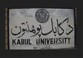 بازداشت یک استاد دانشگاه به اتهام همکاری با داعش! + جزئیات
