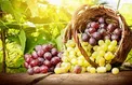 خوراکی که از شبکیه چشم مراقبت می کند