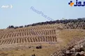 گورستانی برای میهمانان یک عروسی +عکس