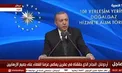 اردوغان: اوضاع در سوریه در حال آرام‌شدن است
