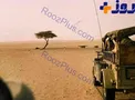 عکس / درخت تنها ازبین رفت!