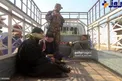 بازداشت داعشی‌ها در الانبار+عکس