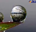 تصویری بی نظیر از انعکاس دریاچه در قطره شبنم!