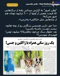 شغلی به نام «چرخاندن سگ» و دستمزد عجیبش+عکس
