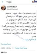 خانم بازیگر در ون گشت ارشاد! + عکس