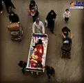 تصویری بی‌نظیر از پیاده روی اربعین