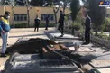 آرامگاه آزاده نامداری در بهشت زهرا+عکس