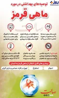 اینفوگرافیک/ نکات بهداشتی در مورد ماهی سفره هفت سین