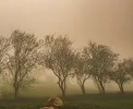 هواشناسی: گردوخاک در جنوب غربی کشور/ دمای ۳۴درجه در تهران