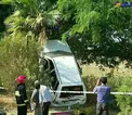 مقاومت نخل در مقابل پراید