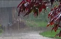 پیش بینی بارش باران در برخی مناطق کشور