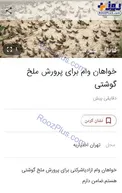 پرداخت وام برای پرورش ملخ گوشتی! + عکس