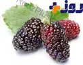 با این میوه سرطان را از خود دور کنید