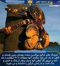 ظاهر بزرگ و عجیب خرچنگ نارگیل!+عکس