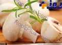 دلایلی که نباید زیاد قارچ بخوریم
