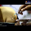 خالکوبی عجیب و غریب پاکبانان +عکس