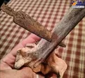 عکس/ سر نیزه‌ای که بعد از ۲۰۷۰ سال پیش هنوز در استخوان باقیست