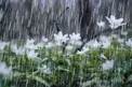 ورود سامانه بارشی جدید به کشور