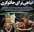گیاهی برای جادوگری+عکس