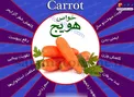 اینفوگرافیک/ خواص بی نظیر هویج که نمی دانستید