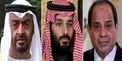 میلیاردر صهیونیست، جزئیات دیدار با بن‌سلمان و بن‌زاید را فاش کرد