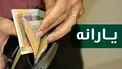 تعریف معیارهای حذف یارانه و شناسایی افراد/ منظور از میزان مصرف خانوارها چیست؟