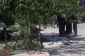 اولین تصویر از جسد عامل تیراندازی حرم امام (ره)