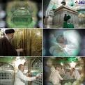 داخل ضریح امام رضا(ع) + عکس