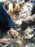 ردی که از یکی از آتش نشانان در آوار پلاسکو پیدا شد+ عکس