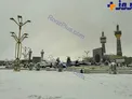 عکس/ حرم امام رضا سفید پوش شد