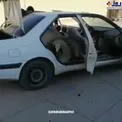 حمل ۱۱ گوسفند با پژو پرشیا +عکس
