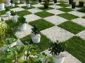 تاثیر زیاد فضای سبز بر کاهش استرس