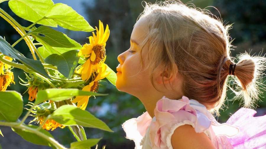 آموزش «بوییدن» به کودکان؛ راهی برای بهبود سلامت روان و درک بهتر جهان آموزش «بوییدن» به کودکان؛ راهی برای بهبود سلامت روان و درک بهتر جهان