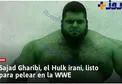 هالك ايراني در مسابقات كشتي كج +عكس