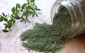 درمان سرفه با گیاهی که معجزه می‌کند