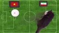 گربه پیشگو نتیجه دیدار تیم‌های ملی فوتبال ایران - ویتنام را پیش‌ بینی کرد