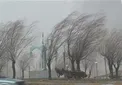 هشدار هواشناسی/ وزش باد شدید در اکثر مناطق کشور