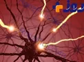 افزایش تعداد مبتلایان به‌ «ای. ال. اس» +علائم