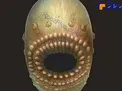 کشف موجودات زنده پیش از انسان +عکس