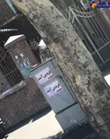 عكس/ حضور فردين در انتخابات شورای شهر