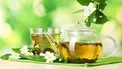 نوشیدنی طبیعی که وزنتان را کم می‌کند/ چربی و قند خون را با یک چای گیاهی تنظیم کنید
