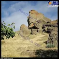 عکسی جالب از پیکره ابولهول ایران